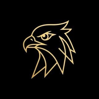 Hawk Logo